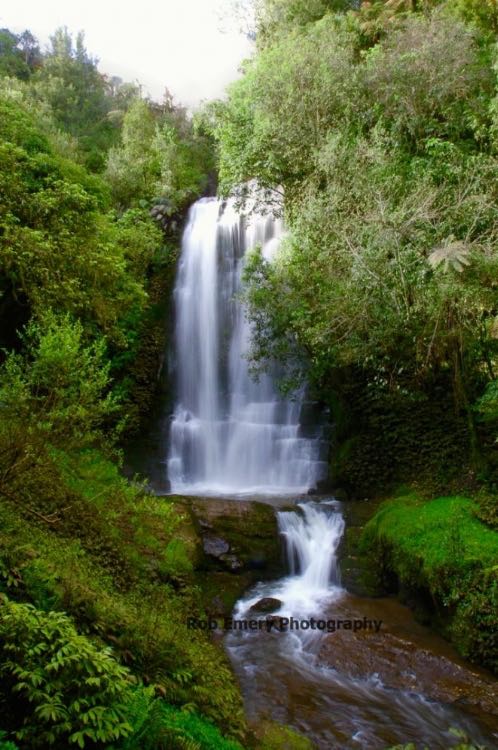Waitanguru falls